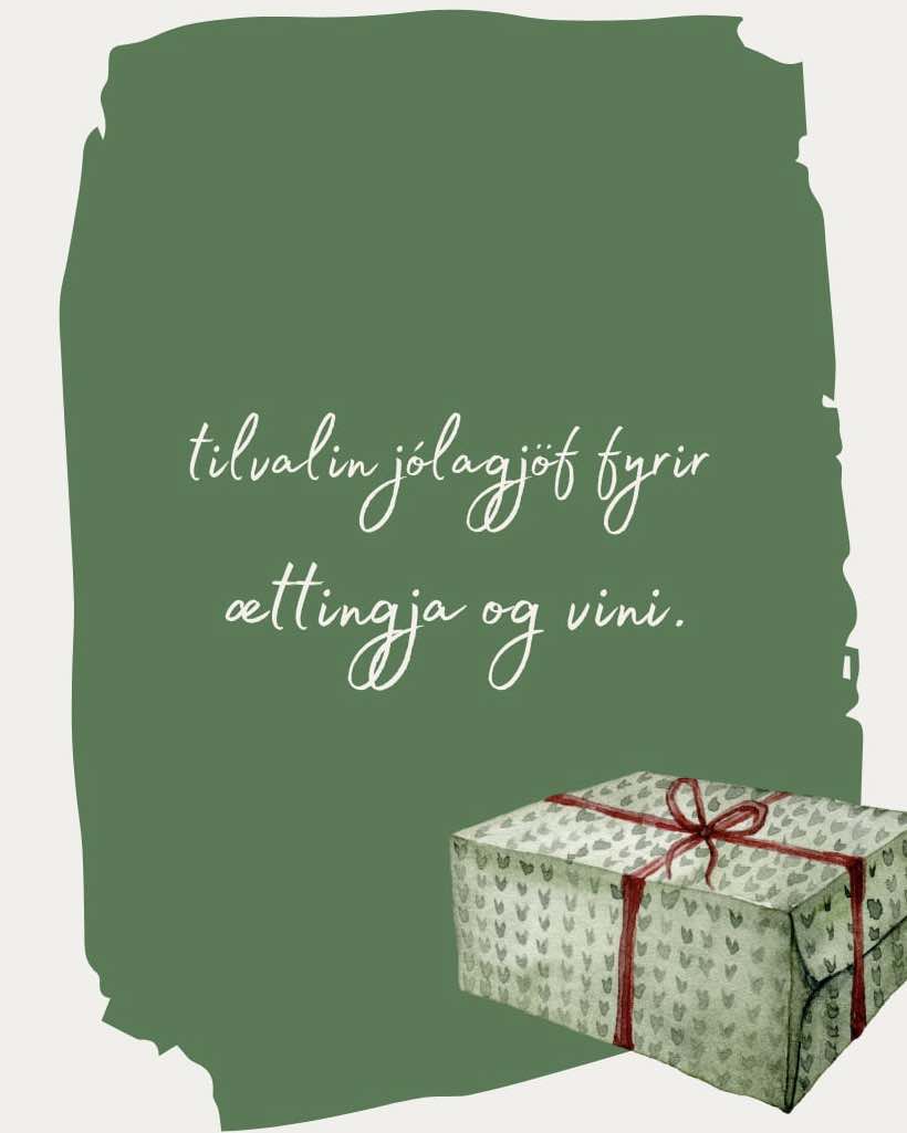 JÓLAHAPPDRÆTTI MÓA